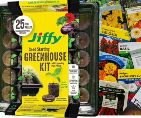 Jiffy mini greenhouse next to seed packets