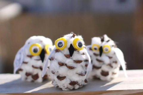 pinecone snowy owl