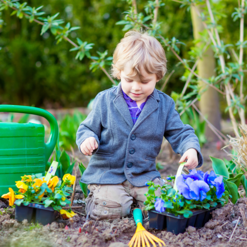 a young boy digs in a garden with small plants and garden tools