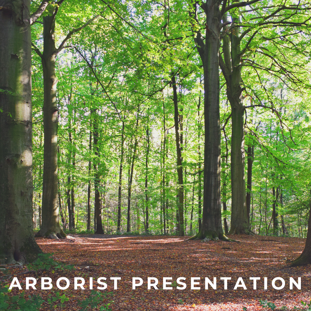 forest with sunlight and text arborist presentation